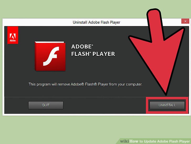 adobe flash download windows phone